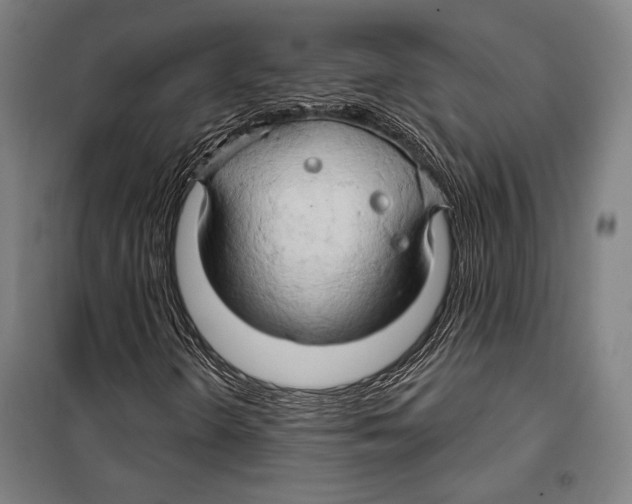 X0000099501298200806121406