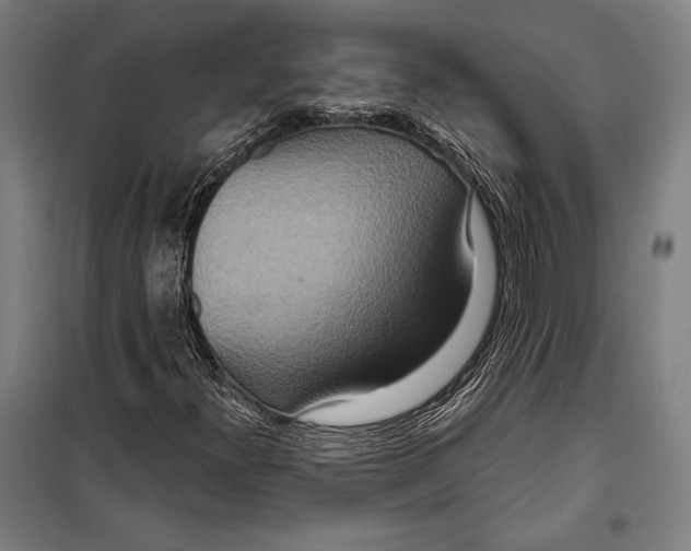 X0000099501300200806121406