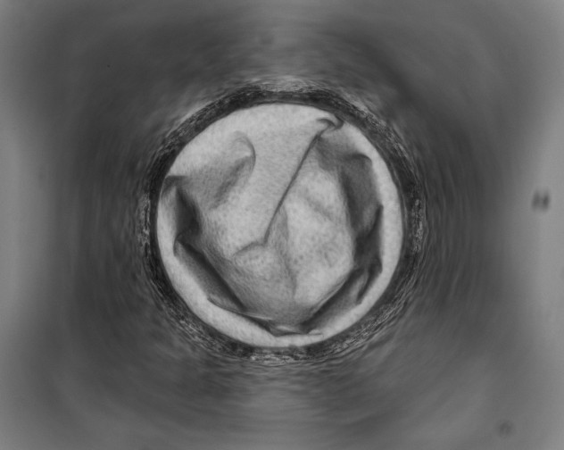 X0000099501301200806121406