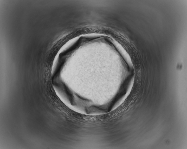 X0000099501302200806121406