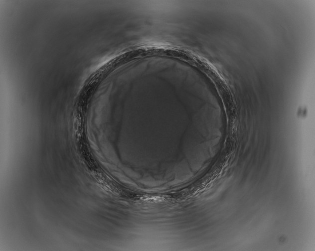 X0000099501303200806121406