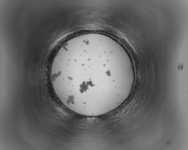 X0000099501304200806121406