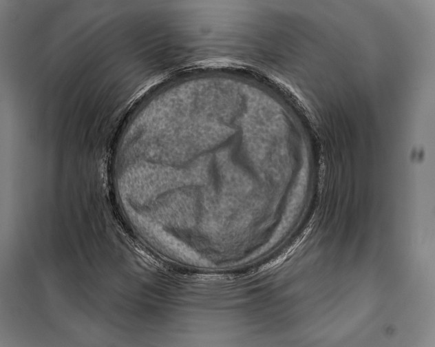 X0000099501305200806121406