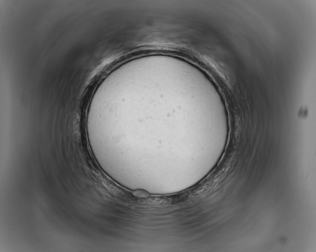 X0000099501307200806121406