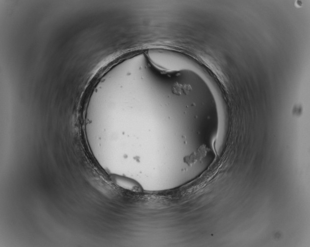 X0000099501308200806121406