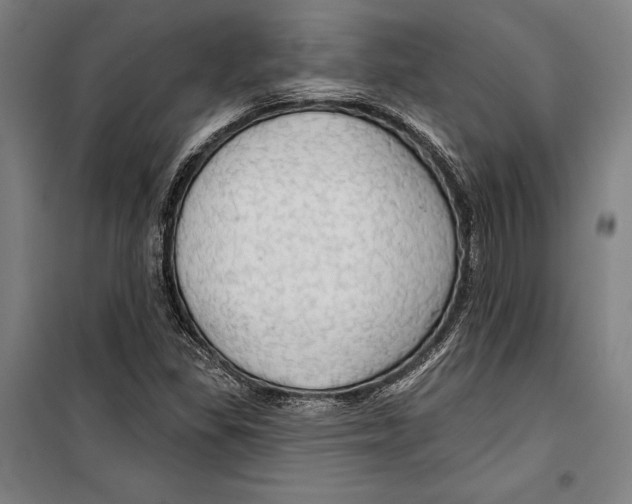 X0000099501309200806121406