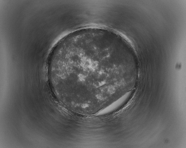 X0000099501310200806121406