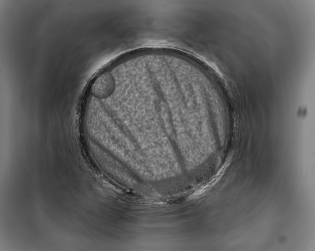 X0000099501311200806121406