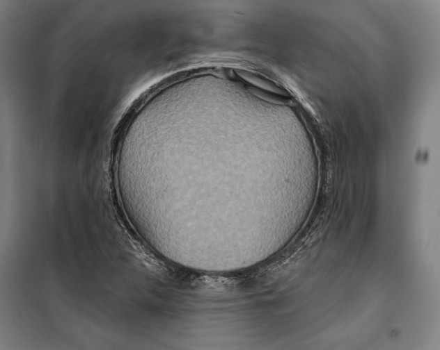 X0000099501312200806121406