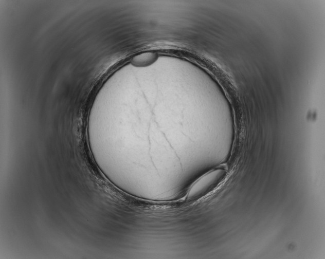 X0000099501313200806121406