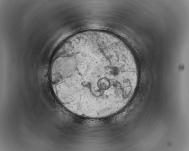 X0000099501314200806121406