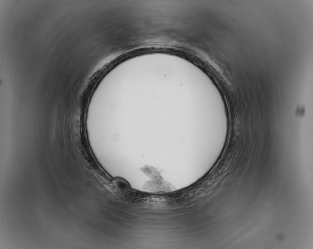 X0000099501315200806121406