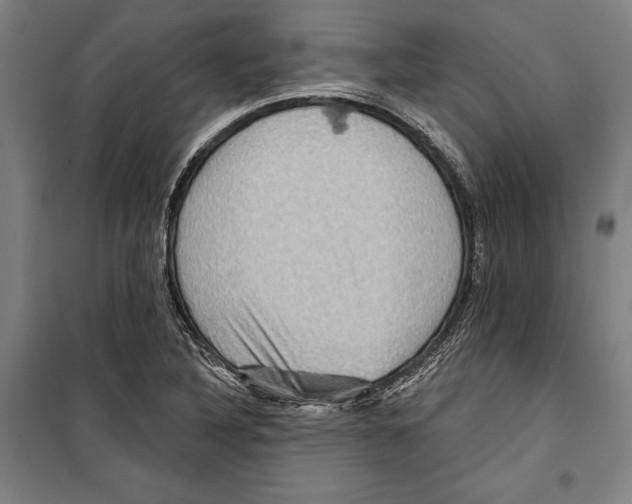 X0000099501316200806121406