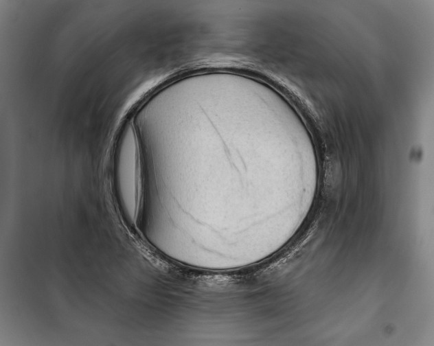 X0000099501317200806121406