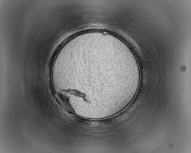 X0000099501318200806121406