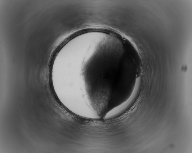 X0000099501319200806121406