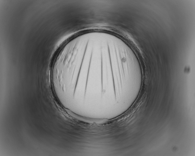 X0000099501320200806121406