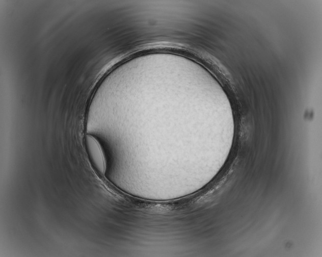 X0000099501321200806121406