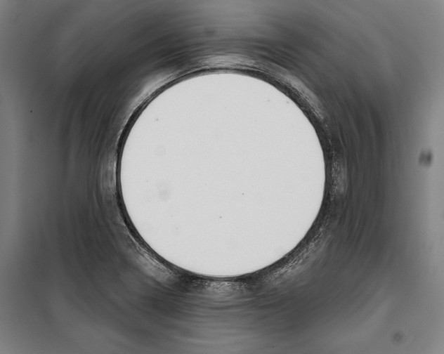 X0000099501322200806121406