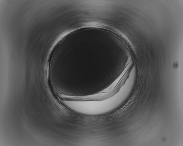 X0000099501323200806121406