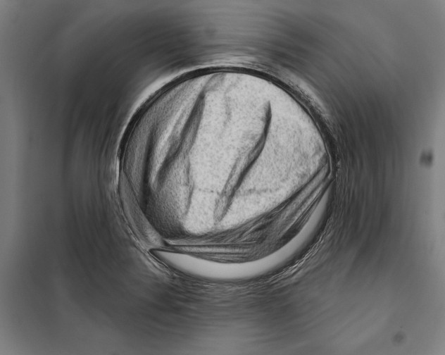 X0000099501324200806121406