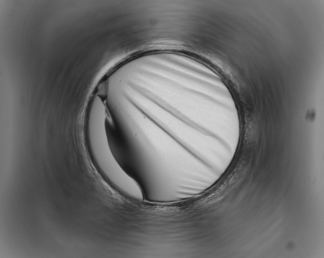 X0000099501325200806121406