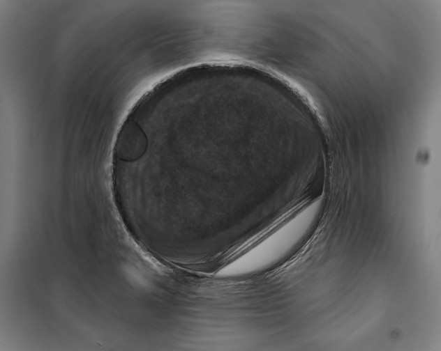 X0000099501327200806121406