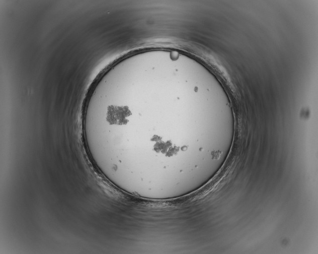 X0000099501328200806121406