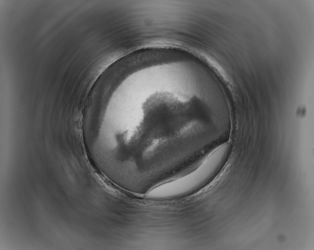 X0000099501329200806121406