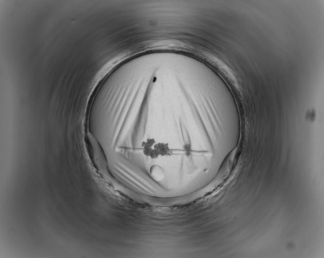 X0000099501330200806121406