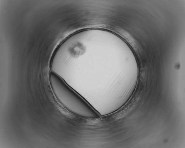 X0000099501332200806121406