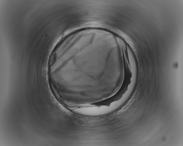 X0000099501334200806121406