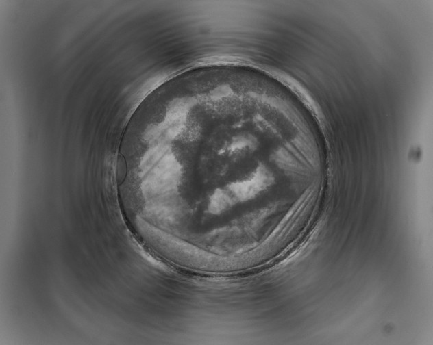 X0000099501337200806121406