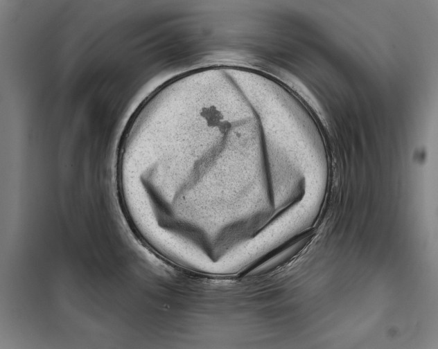 X0000099501339200806121406