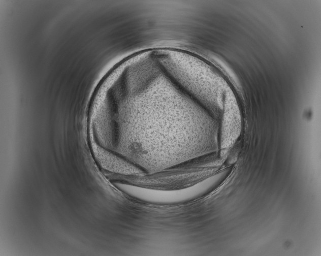 X0000099501340200806121406