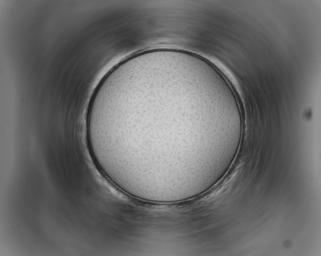 X0000099501341200806121406