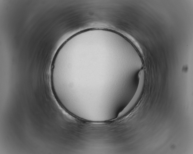 X0000099501343200806121406