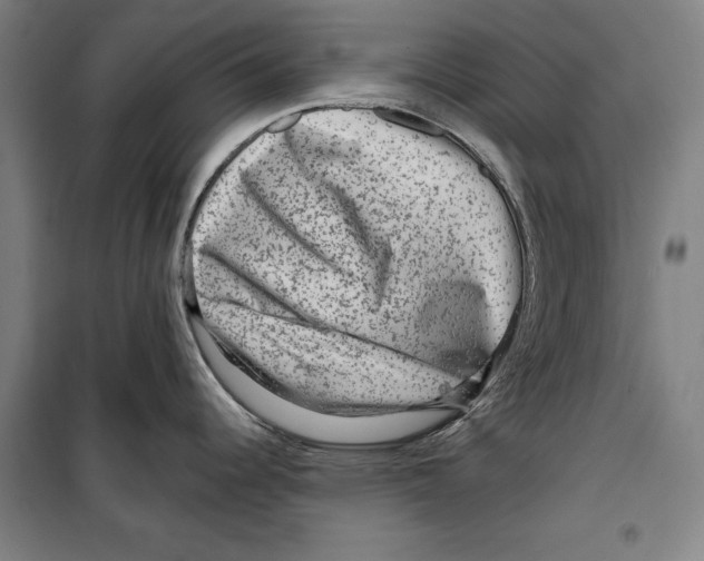 X0000099501344200806121406