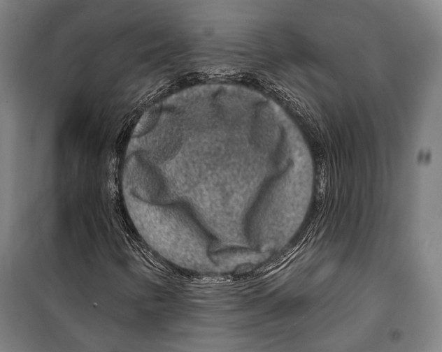 X0000099501346200806121406