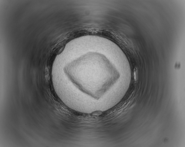 X0000099501347200806121406