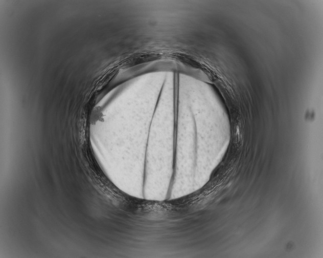 X0000099501348200806121406