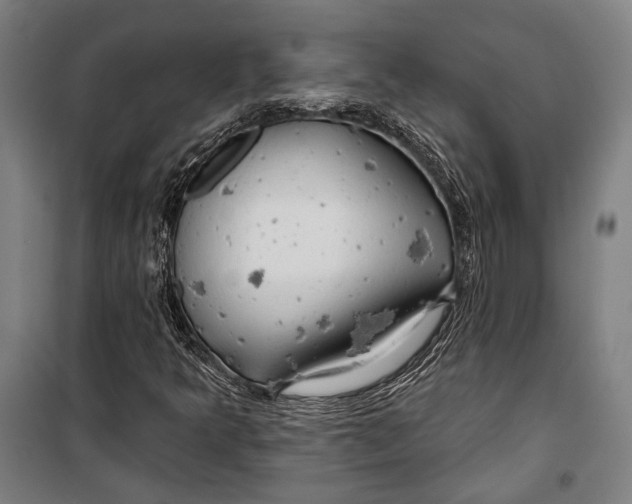 X0000099501349200806121406