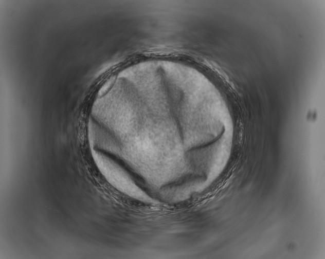 X0000099501350200806121406