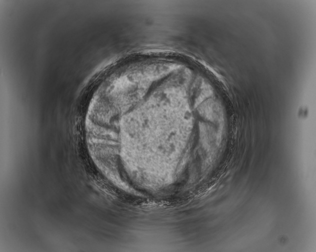 X0000099501351200806121406