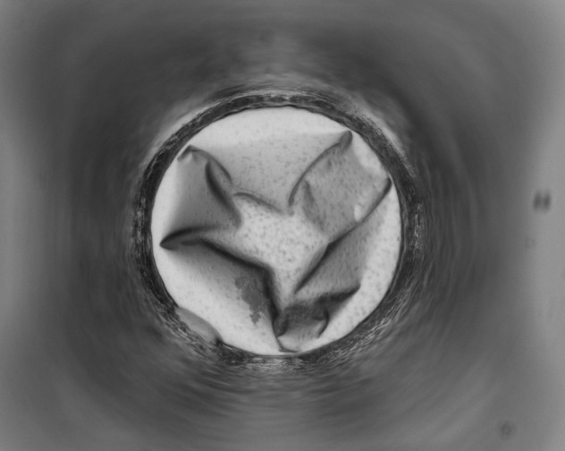 X0000099501352200806121406