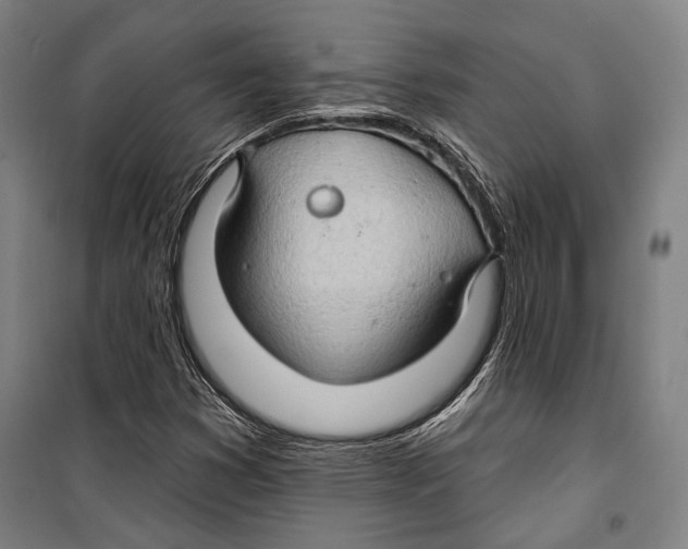 X0000099501353200806121406