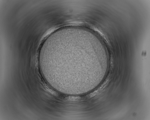 X0000099501354200806121406