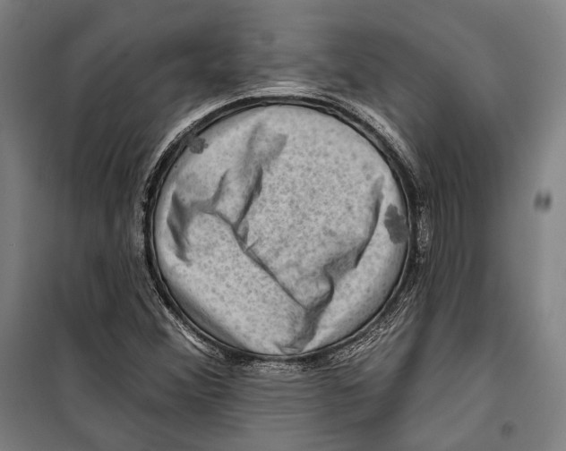 X0000099501356200806121406