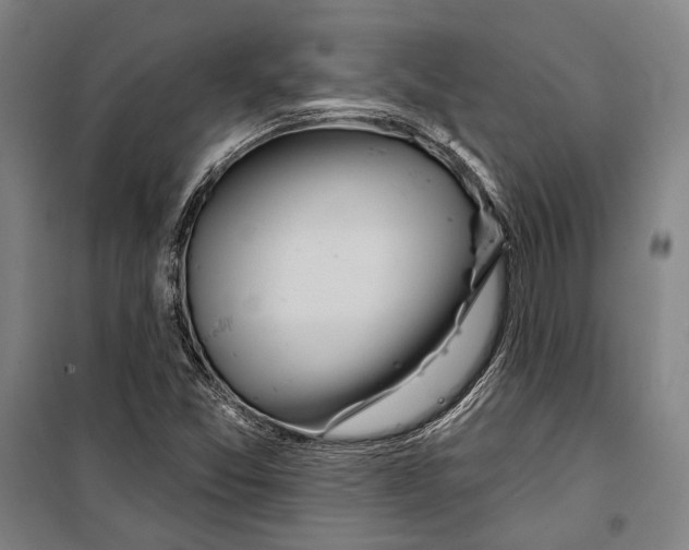 X0000099501357200806121405