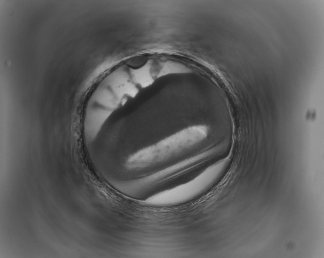 X0000099501359200806121405